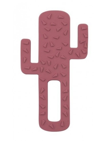 Gryzak silikonowy Kaktus różany, Minikoioi